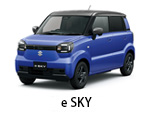 e SKY